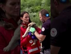 Straßenhunde im Kosovo werden sterilisiert