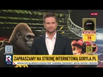 WIELKI SUKCES POLKI W PARYŻU! | Rafał Kacprzak | Klub Sportowy Republiki