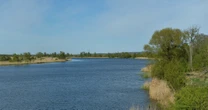 Dolina Dolnej Odry. Z 240 gatunkami ptaków i 460 gatunkami roślin