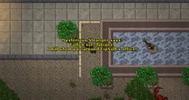 Tibia żyje i ma się dobrze. Producenci gry chwalą się rekordowymi zyskami!