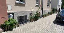 Afera o rabaty przed kamienicą. Posadziła kwiaty i dostała mandat
