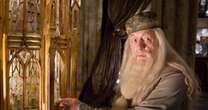 Nowy Albus Dumbledore wybrany? Trwają ostatnie rozmowy