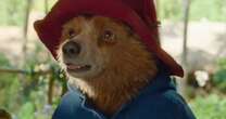 "Paddington w Peru" już niedługo na VOD. Więcej przygód, humoru i marmolady