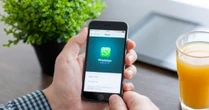 WhatsApp wprowadza wyszukiwarkę naklejek