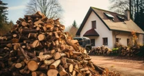 Kupować w czerwcu czy poczekać? Koszt drewna opałowego raczej już nie spadnie