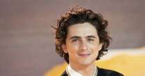 Chalamet jako Bob Dylan. Jak prezentuje się na pierwszym zwiastunie?