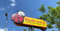 Biedronka ujawniła po naszej prośbie. Tego o pracy w sieci nie wiedziałeś