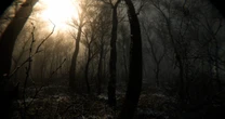 Digested – nadchodzi horror w stylu "Blair Witch Project"