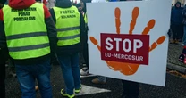 Handel UE z Mercosurem rośnie dynamicznie. Miliardowe obroty robią wrażenie