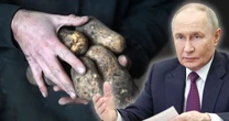 Rosyjski ziemniak w cenie luksusu. Ziemniaczane eldorado to już przeszłość