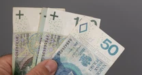 Sondaż o 800 plus dla Ukraińców. Ponad połowa jest za, ale pod warunkiem