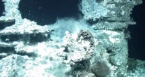 Kraina cudów odnaleziona pod falami oceanu. Jest u wybrzeży Norwegii