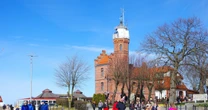 W Polsce w tym zawodzie pracuje mniej niż 20 osób. AI im nie grozi