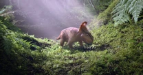 Kultowe "Wędrówki z dinozaurami" powracają! Byliśmy na przedpremierowym pokazie nowej serii BBC