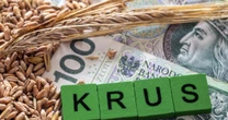 Muszą za to przeżyć miesiąc. Tyle emerytury KRUS wysyła rolnikom
