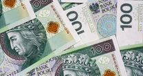 Specjalny dodatek na psa. Tylko dla nich po 280 zł miesięcznie