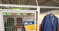 Mandat może dostać niemal każdy. Sprawdź, nim wyrzucisz