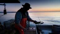 Stricter lobster fishing rules scrapped after complaints from fishermen about harm to industry