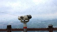 'Lovebugs' return in swarms to South Korea and blanket a mountain peak