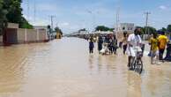 Dam collapse in Nigeria sweeps deadly reptiles into flooded communities