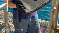 Scientists find new bite-resistant wetsuits can reduce shark bite injuries