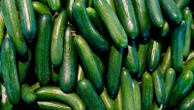 Health officials warn of salmonella outbreak linked to cucumbersA total of 26 people across 15 states have been sickened in the outbreak.1 hour ago