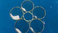 Company's carbon credits raise questions about unproven ocean technology to fight global warming
