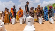 Driven to starvation, Sudanese people eat weeds and plants to survive as war ragesAmid battles and food insecurity across Sudan, many people are turning to weeds and wild plants to sustain them15 minutes ago