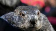 Punxsutawney Phil to emerge with his annual prediction about the end of winter