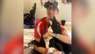 Family dog alerts parents as kid suffers stroke