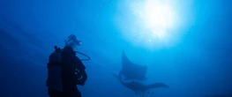 Ocean protections clash with mining pressure in Indonesia's diverse marine ecosystem