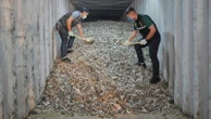 Watchdog report says American e-waste is causing a 'hidden tsunami' in Southeast Asia