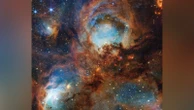 Webb telescope discovers stars forming in 'toe beans' of Cat's Paw Nebula