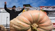 Grower squashes competition in World Championship Pumpkin Weigh-offBrandon Dawson from Santa Rosa won with his 2,346 pound pumpkin.17 minutes ago