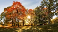 Sept. 22 is the autumnal equinox: What to knowThe word "equinox" is derived from the Latin words for "equal" and "night."7 minutes ago