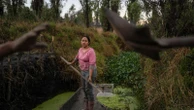 In Mexico, women didn't traditionally inherit island farms. Now some are determined to protect them