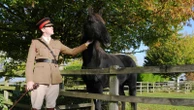 British army horse that galloped through London after being spooked gets retirement