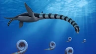 Fossils found in North America reveal new species of 'odd' sea monster: Scientists