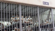 Rights groups sue to free Venezuelans deported from the US and held in El Salvador