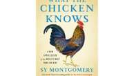 Book Review: Sy Montgomery shares ‘What the Chicken Knows’ in new mini hardcover