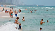 Expert tips to book cheap spring break travel nowGoing.com founder Scott Keyes explains the so-called "Goldilocks window."2/13/2024 04:27:17 EST