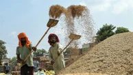 India's basmati exports to US hit by floods and tariffs as Pakistan looks to benefit