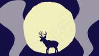 July full moon: What the buck moon means for your zodiacThe full moon will arrive on July 21, 2024, at 06:17 a.m. ET.7/19/2024 11:16:06 EDT