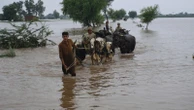 Pakistan's Punjab faces the biggest floods in its history, affecting 2 million people