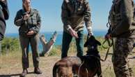 Prince William takes early-morning nature walk near South Africa's Table Mountain