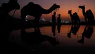 AP PHOTOS: Once-traditional camel trading fair in India transformed into tourist attraction