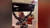 4-year-old has best reaction to receiving birthday present from Costco“His reaction is priceless.