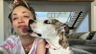 Kaley Cuoco on past decision to re-home dog: 'Important to be honest'Cuoco shared the story of her dog Shirley in an Instagram video.11/25/2024 12:03:05 EST