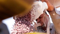 Brazilian farmers beef up soybean production as China halts business with US during trade fight