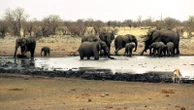 Namibia sends hundreds of soldiers to help battle huge wildfire in Etosha National Park